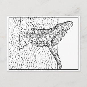 Grey Whale Postcard