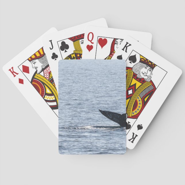 Grey Whale Tail Playing Cards (Back)