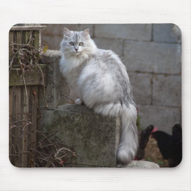 Grey-White Angora Cat Mouse Pad (Front)