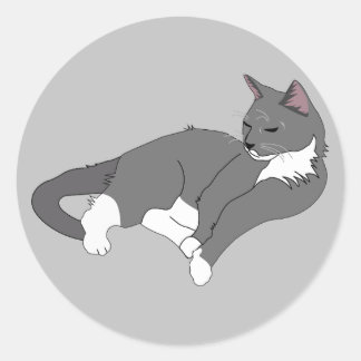 Grey & White Tuxedo Cat Classic Round Sticker