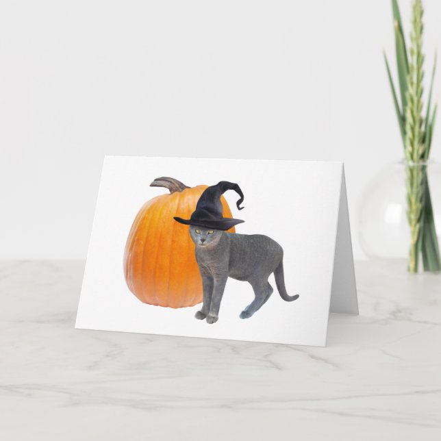 Grey Witch Cat with Pumpkin Halloween Card (Front)