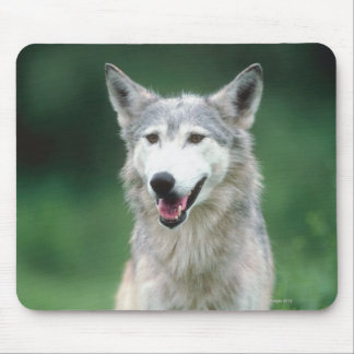 Grey wolf 2 mouse pad