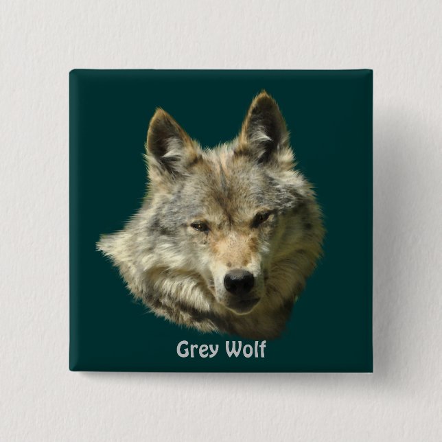 Grey Wolf Alpha Female Wildlife-lover 2 Inch Square Button (Front)