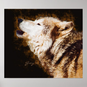 Grey Wolf Baying Poster