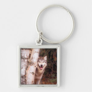 Grey Wolf Behind a Tree Keychain