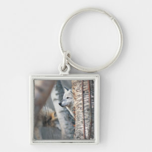 Grey Wolf Behind Tree Keychain