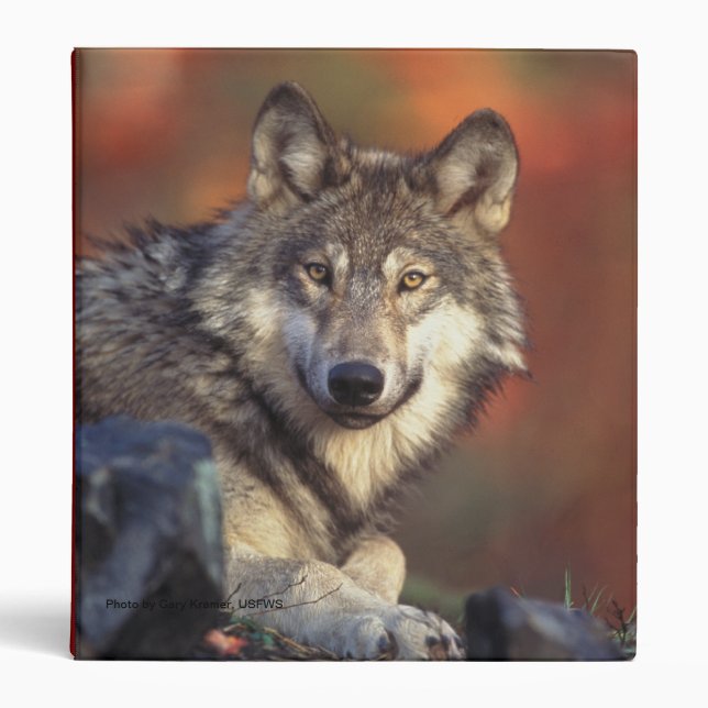Grey Wolf Binder (Front)