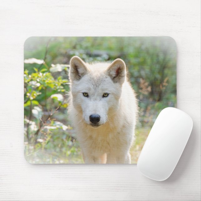 Grey Wolf, Calm Canine  Mouse Pad (With Mouse)