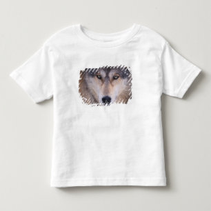 grey wolf, Canis lupus, close up of eyes Toddler T-shirt