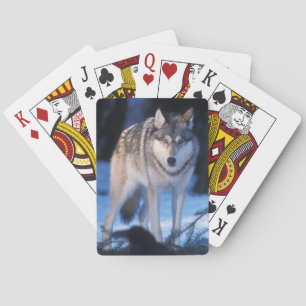 grey wolf, Canis lupus, in the foothills Playing Cards