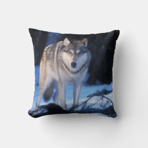 grey wolf, Canis lupus, in the foothills Throw Pillow
