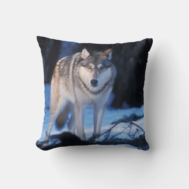 grey wolf, Canis lupus, in the foothills Throw Pillow (Front)