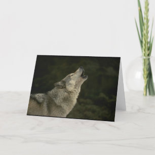 Grey Wolf Card