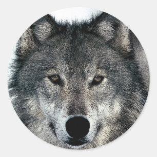 Grey Wolf Classic Round Sticker