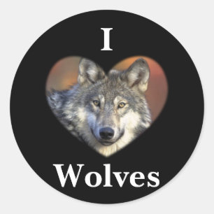 Grey Wolf Classic Round Sticker
