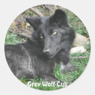 GREY WOLF CUB Wildlife Supporter Stickers