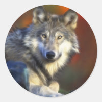 Grey Wolf, Endangered Species Digital Photography