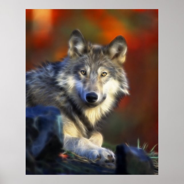 Grey Wolf, Endangered Species Digital Photography Poster (Front)