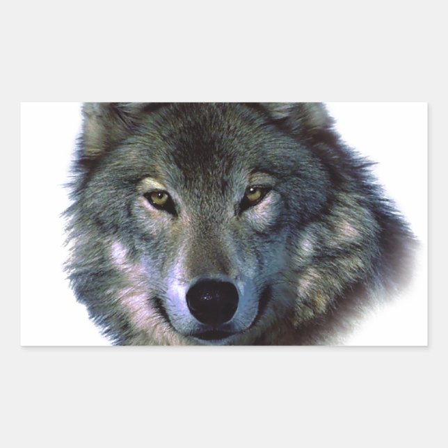 Grey Wolf Eyes Sticker (Front)