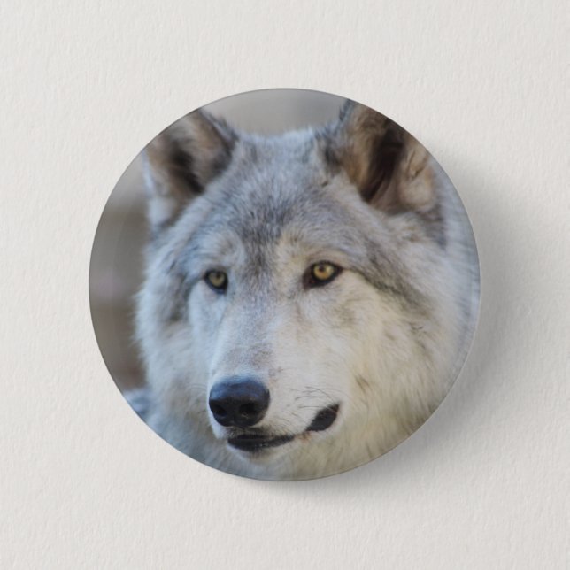 Grey Wolf Face 2 Inch Round Button (Front)