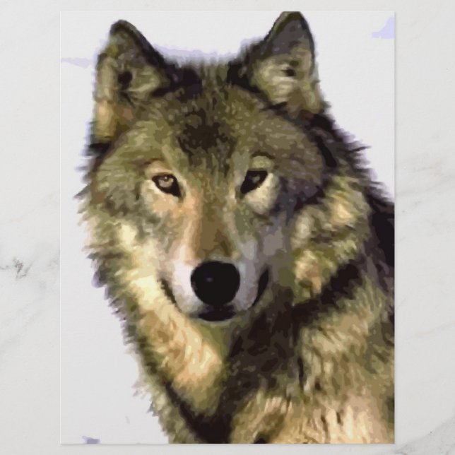 Grey Wolf Flyer (Front)