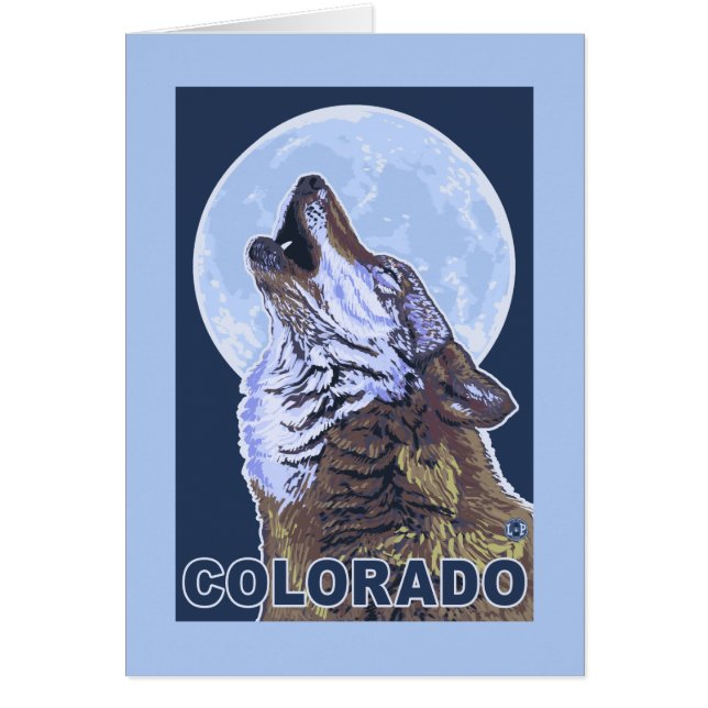 Grey Wolf HowlingColorado (Front)