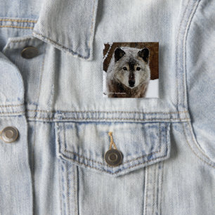Grey Wolf in Snow 2 Inch Square Button