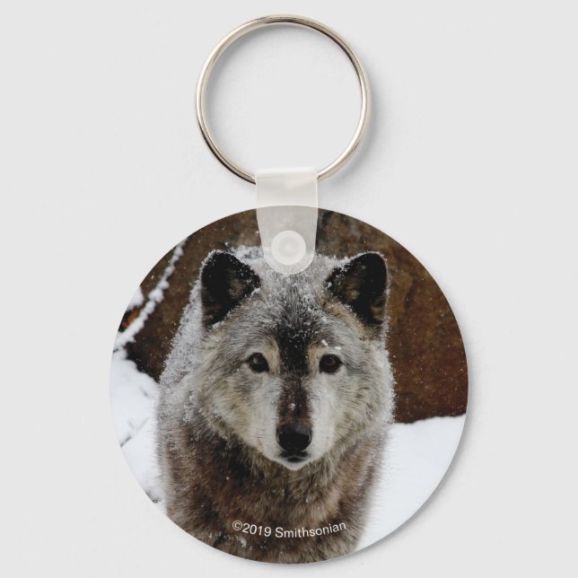 Grey Wolf in Snow Keychain (Front)