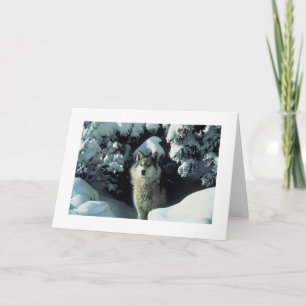 Grey Wolf In Snow Photo Card