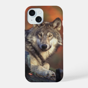 Grey Wolf iPhone 15 Case