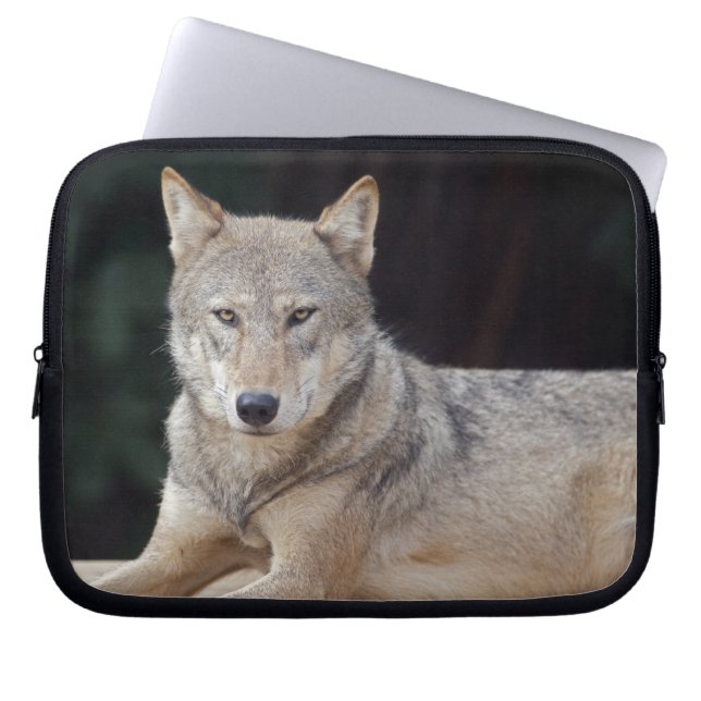 Grey Wolf Laptop Sleeve (Front)