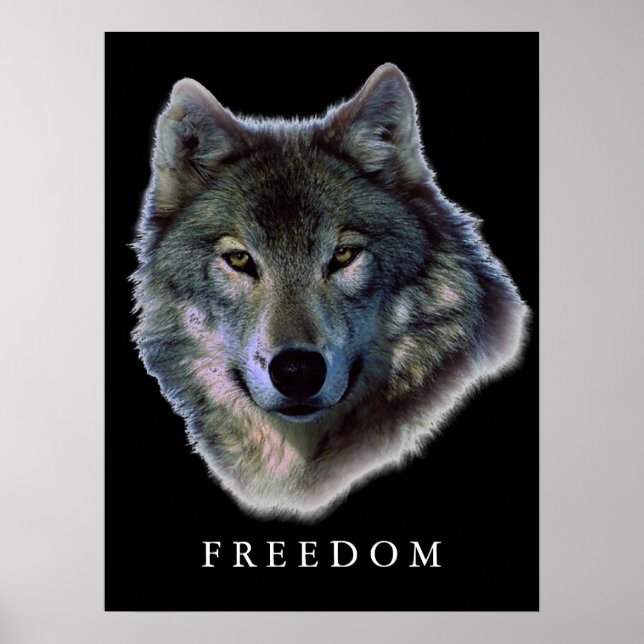 Grey Wolf Motivational Freedom Poster Print (Front)