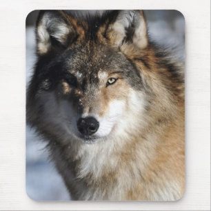 Grey Wolf Mouse Pad