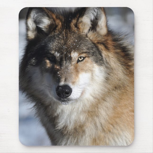 Grey Wolf Mouse Pad (Front)
