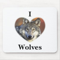 Grey Wolf