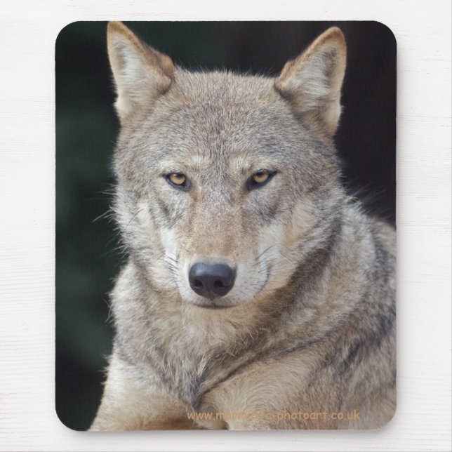 Grey Wolf Mousemat Mouse Pad (Front)