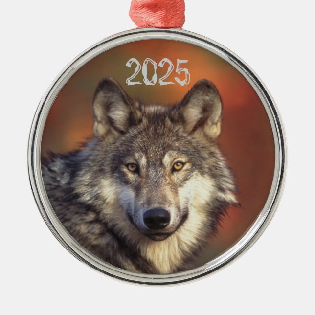 Grey Wolf Ornament (Front)