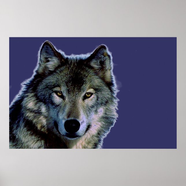 Grey Wolf Poster (Front)