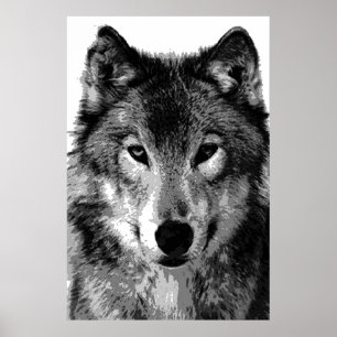 Grey Wolf Poster Print