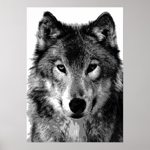 Grey Wolf Poster Print