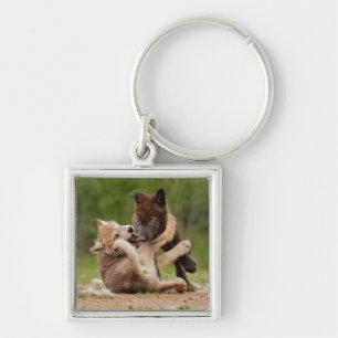Grey Wolf Pups Wrestling Keychain