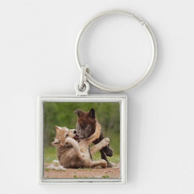 Grey Wolf Pups Wrestling Keychain (Front)