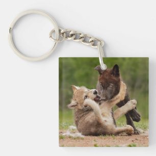 Grey Wolf Pups Wrestling Keychain