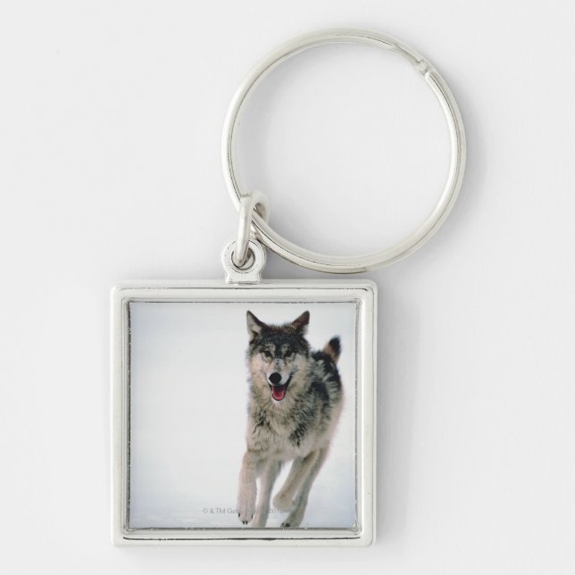 Grey wolf running keychain (Front)