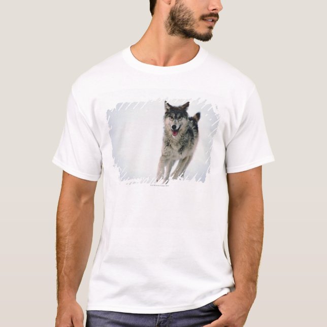Grey wolf running T-Shirt (Front)