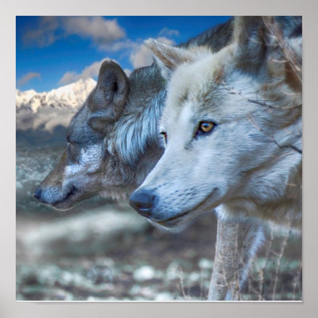 Grey Wolf SENTINEL WOLVES Poster (Front)
