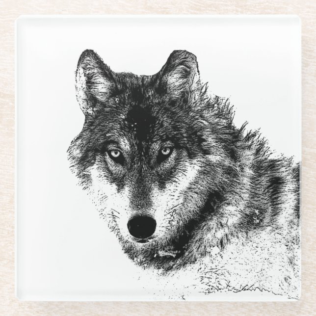 Grey Wolf Sketch Artwork Glass Coaster (Front)
