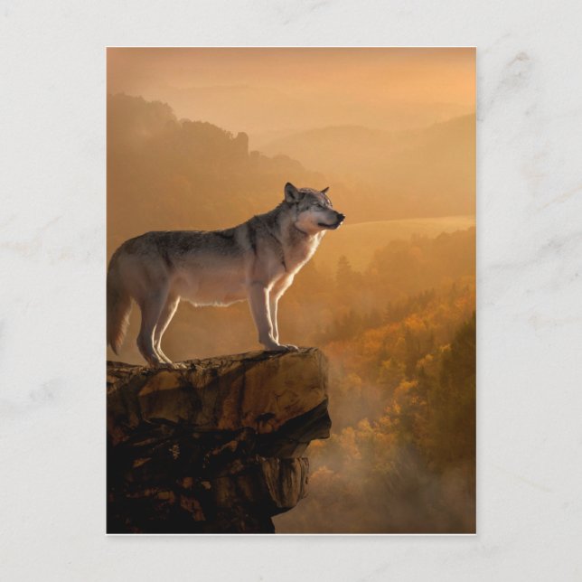 Grey wolf standing on a rock in the forest postcard (Front)