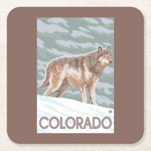 Grey Wolf StandingColorado Square Paper Coaster