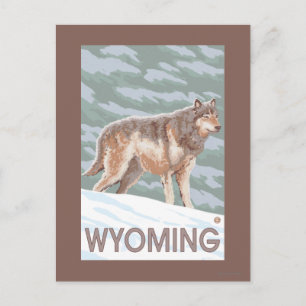 Grey Wolf StandingWyoming Postcard